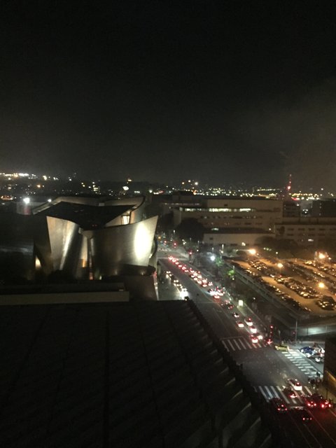 Nighttime Views of Los Angeles' Metropolis