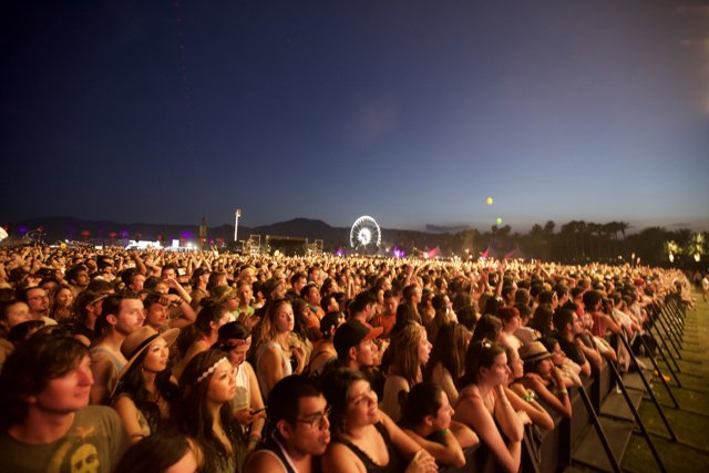 Concertgoers Rock Out Under the Night Sky at Coachella
