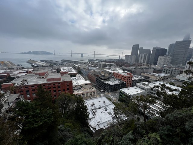 A Bird's Eye View of San Francisco's Metropolitan Cityscape