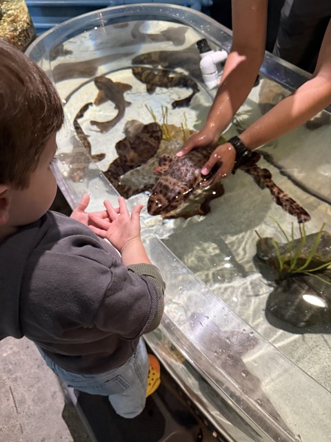 Curious Encounters with Ocean Life