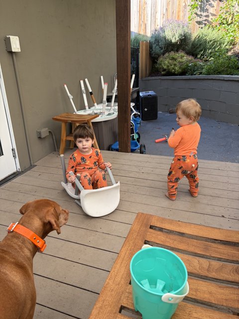 Backyard Adventures