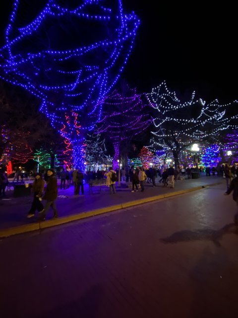 Colorful Lights Illuminate Santa Fe Plaza