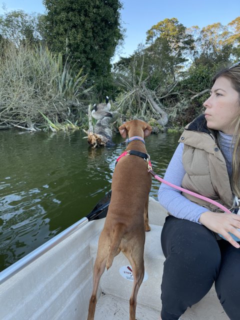 A Woman and Her Canine Companion in Stow Lake