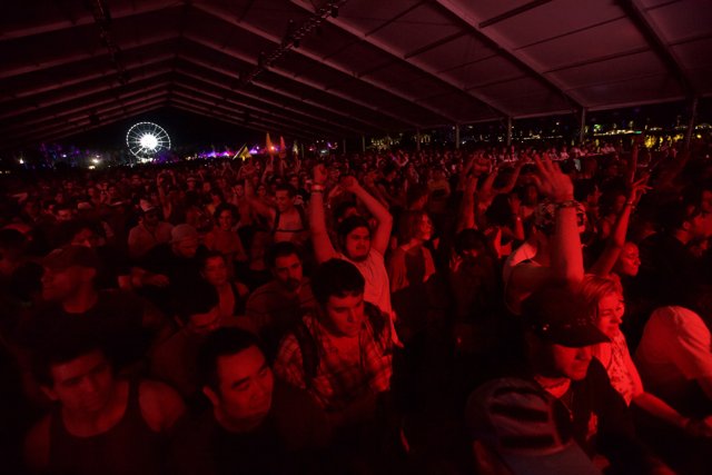 Coachella 2012 Weekend 2: Crowd Goes Wild