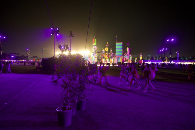 Neon Nights: Coachella 2024