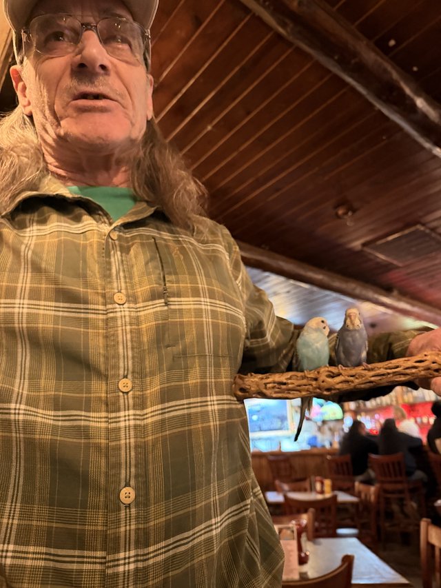 Man with Pet Parakeets in Rustic Restaurant