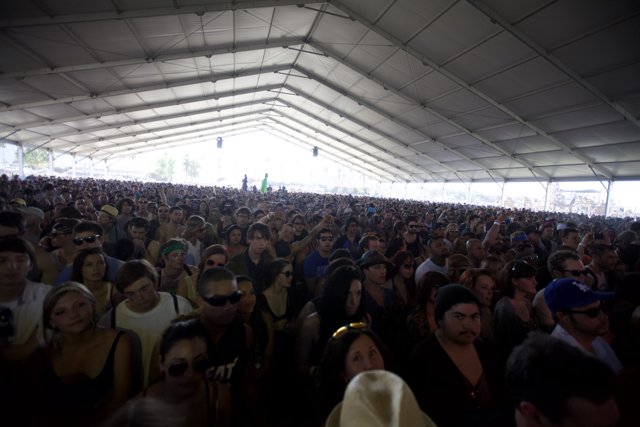 The Massive Crowd at Coachella