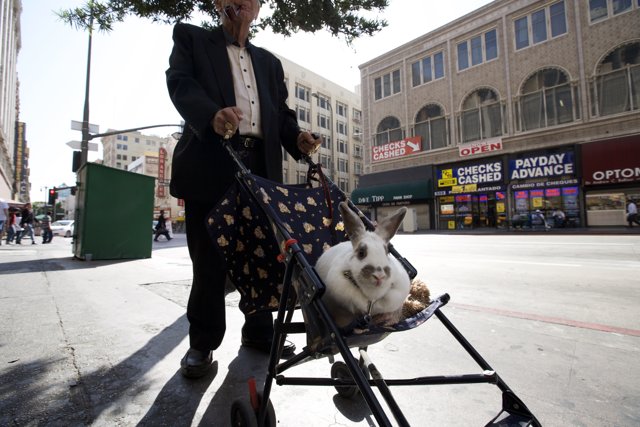 A Man and His Bunny Stroller