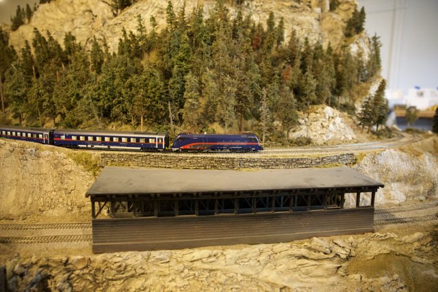 Scenic Route on Miniature Rails