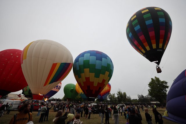 Colorful Hot Air Balloons Rise at Sonoma County Classic