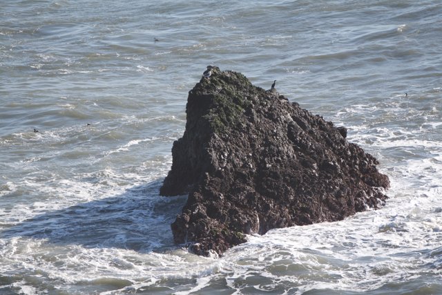 Lone Rock in the Sea