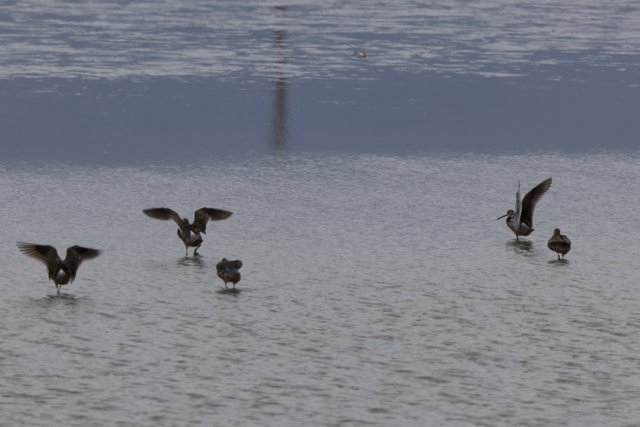 A Graceful Gathering