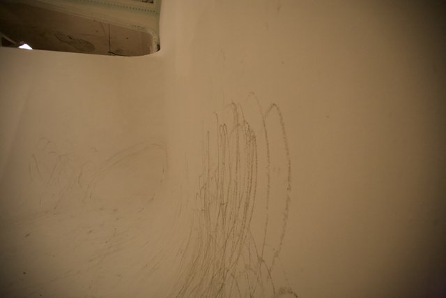 Whimsical Drawing on White Wall