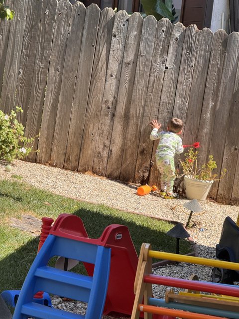 Summer Adventures in the Backyard