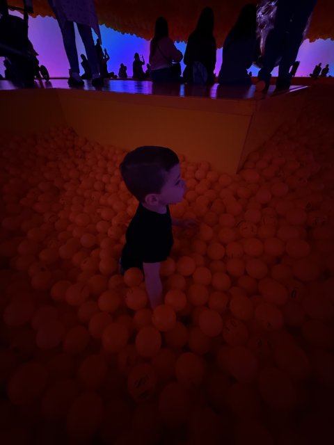 A World of Wonder