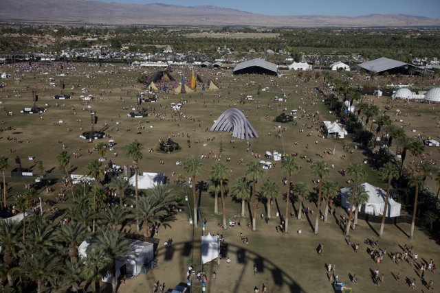 Festival Rave in the Palm Oasis