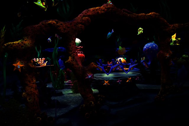 Magical Underwater Experience at Disneyland