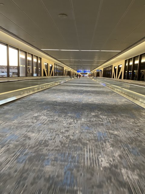 Journey Through Terminal 4