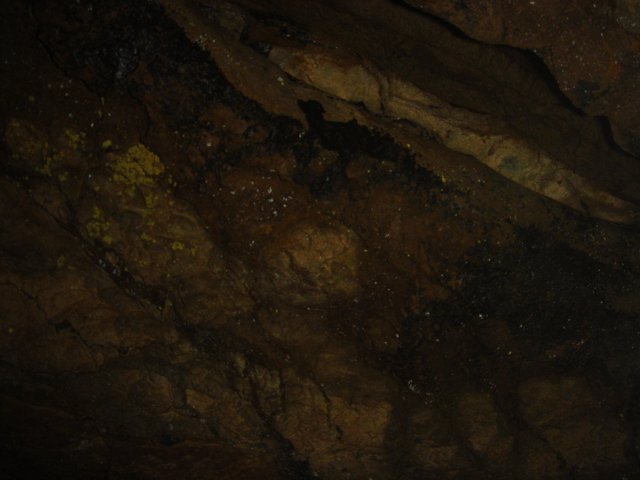 Spider in the Cave