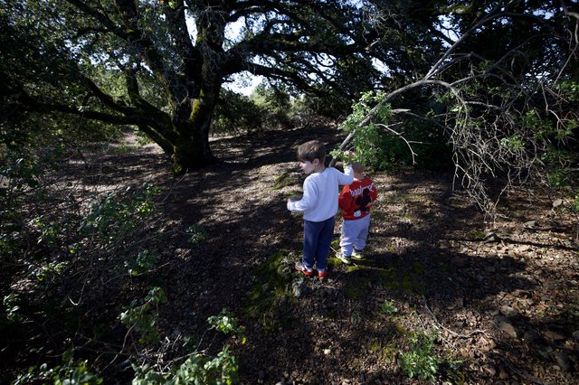 Young Explorers Discover Nature in Oak Forest