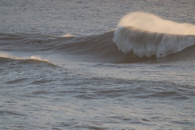 Majestic Surf Encounter at Mavericks and Pacifica