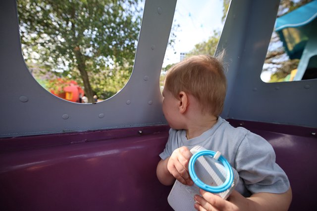 Toddler Gazing Through Playground Structure Window