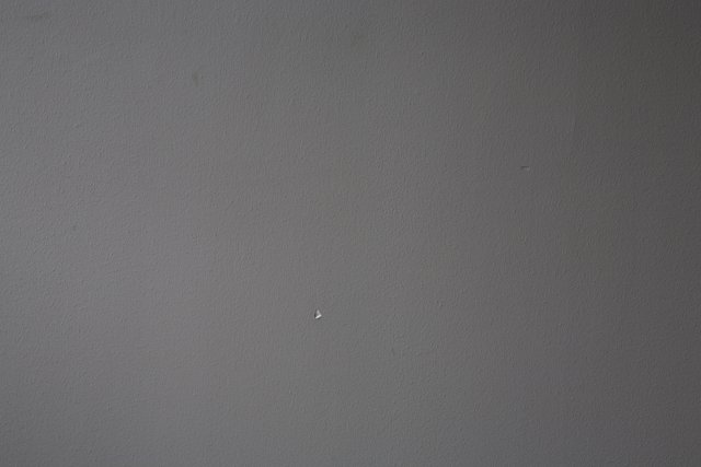 Tiny White Dot on Textured Wall