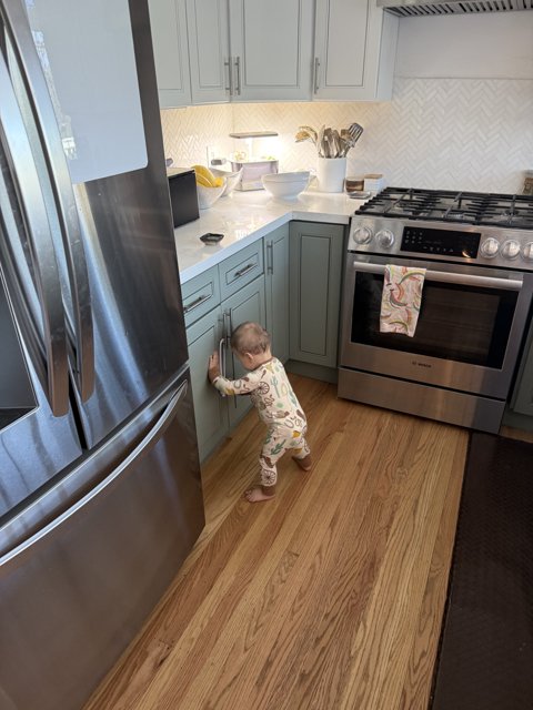 Curious Explorer in the Modern Kitchen