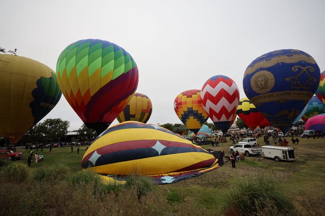 Colorful Hot Air Balloons Fill Festival Launch Field