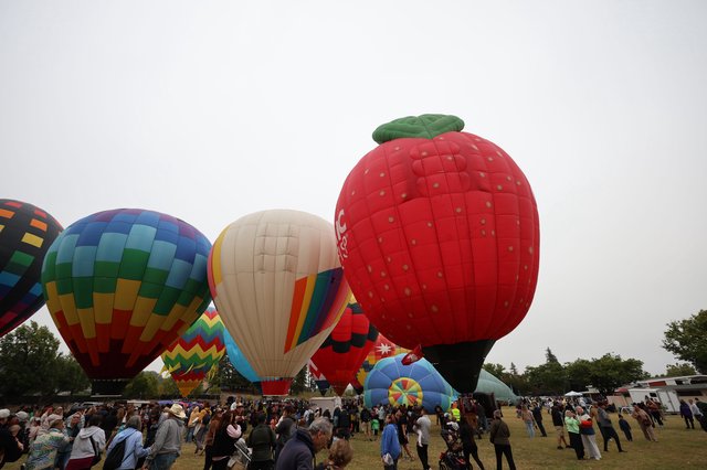 Strawberry Giant Dominates Sonoma Balloon Classic Festival