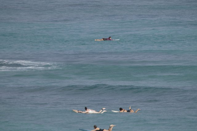 Catching Waves: Surfing Fun on a Sunny Hawaiian Day