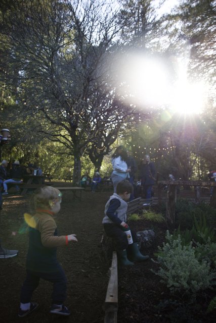Sunlit Adventure in Thistlewyck