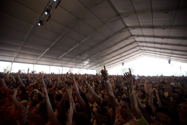 Hands Up in the Crowd at Coachella