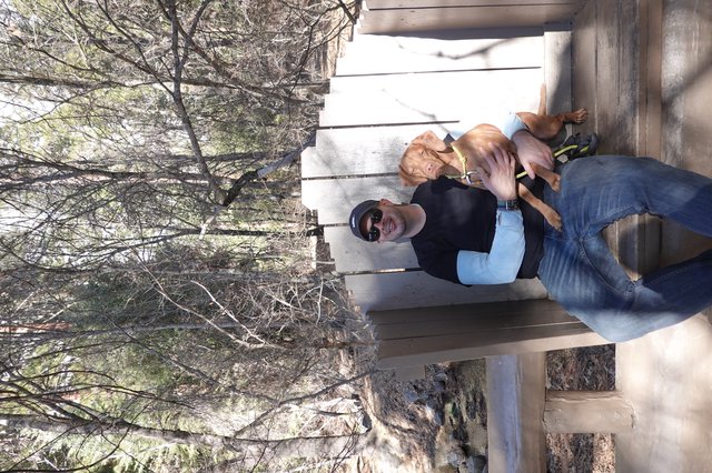 Man and Dog Relaxing on Wooden Bench
