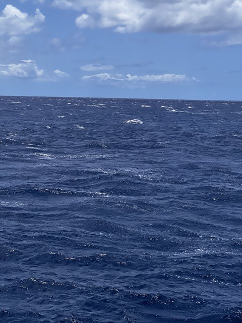 Sail away into the Hawaiian horizon