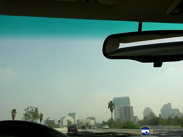 Driving Through the Smog