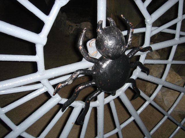 The Arachnid in Captivity