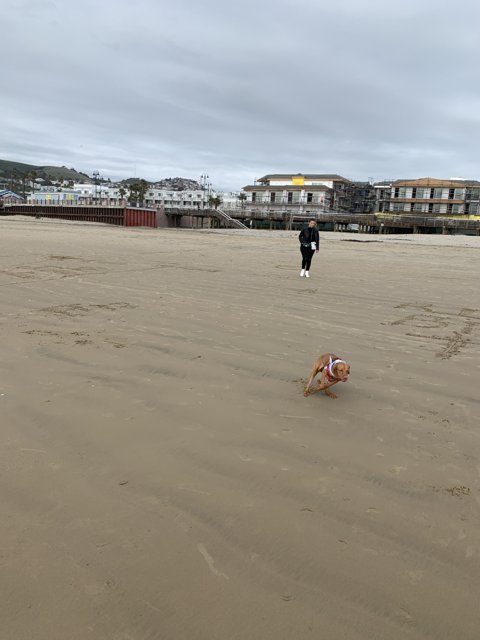 Running Free on Pismo Beach