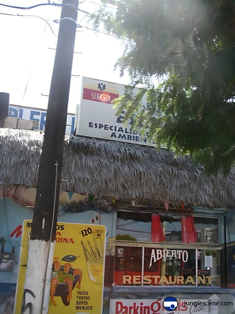 El Salvador Restaurant in Ensenada