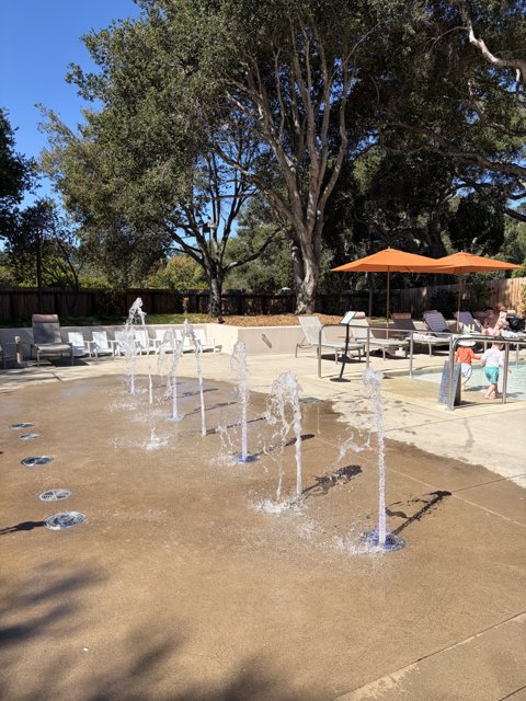 Sunny Day at the Fountain
