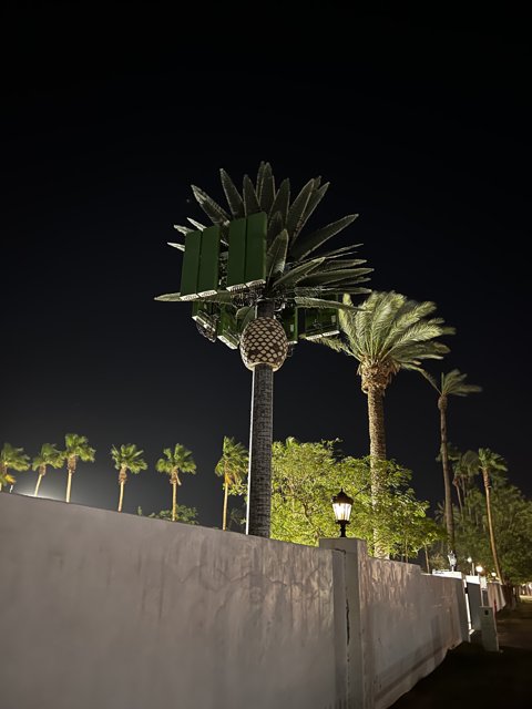 Illuminated Palm Tree Advertisement
