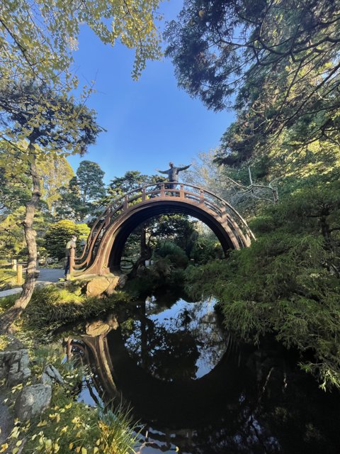 Serene Bridge Reflection in Japanese Garden