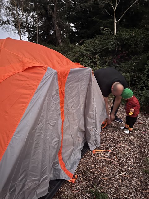 First Adventure in the Presidio Woods: Tent Setup
