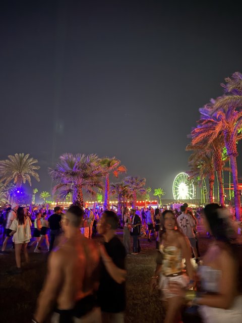 Electric Nights Under the Palms