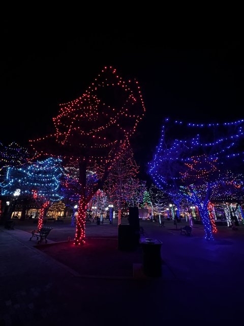 Urban Christmas Celebration in Santa Fe Plaza