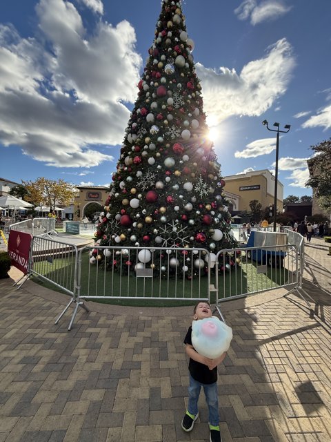 Holiday Joy at The Veranda