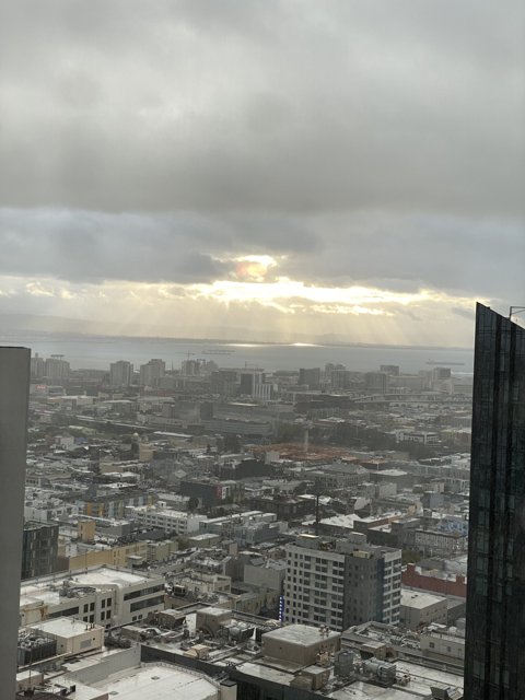 Overlooking San Francisco's Metropolis