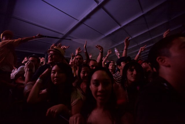 Hands Up in the Crowd at Coachella 2012