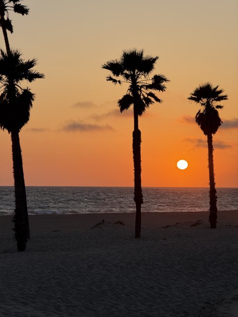 Golden Serenity in Oxnard