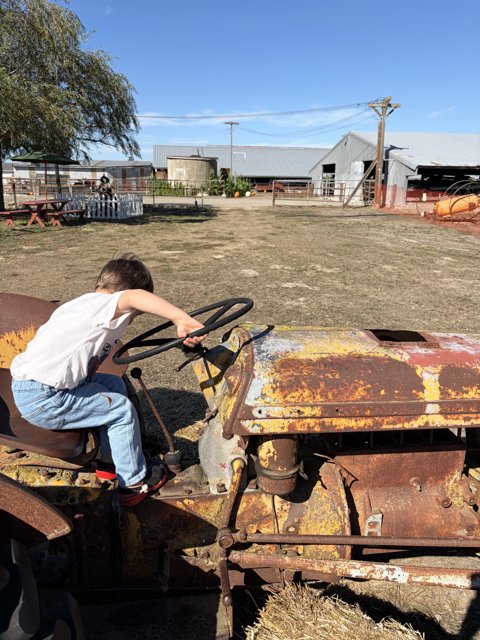 Little Adventurer on the Farm